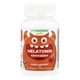 Мелатонін Lifeable VitaWorks Kids Melatonin 1 mg 120 chewables (1086-2023-10-7246) - зображення 1