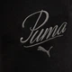 Спортивные шорты женские Puma Ess Script High-Waist Shorts 5" 68498401 S Black (4067983502897) - изображение 9