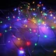 Разноцветная светодиодная гирлянда «Роса» 10 м, USB, 100 LED - изображение 2