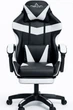 Кресло геймерское DIEGO Phantom RS Black-White - изображение 5