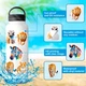 Набор наклеек Дикие животные Wildlife 50 шт - изображение 6