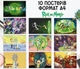 Набір постерів "Рік та Морті. Rick and Morty" 10 шт, формат А4 - зображення 1