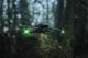 Квадрокоптер DJI Mavic 3 Pro Fly More Combo with DJI RC (CP.MA.00000660.01) [84181] - изображение 15