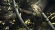 Гра Dragon's Dogma II для PS5 (EN + RU sub) (5055060954126) [103803] - зображення 9