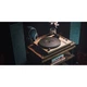 Проигрыватель виниловых дисков Audio-Technica AT-LPW40WN [127416] - изображение 9