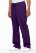 Штани Dickies EDS SIGNATURE Баклажан L DKE83006/EGWZ/L - изображение 3