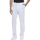 Штани Dickies EDS ESSENTIALS Білий L DKE015/WTPS/L - изображение 1