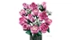 Конструктор Lego Botanicals Букет розовых роз 10374 - изображение 4