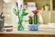 Конструктор LEGO Botanicals Ромашки 133 детали (11508) - изображение 12