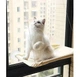 Гамак лежанка для кішки на вікно Sunny Seat Window Cat Bed - бежевий - зображення 3