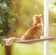 Гамак лежанка для кішки на вікно Sunny Seat Window Cat Bed - бежевий - зображення 7
