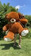 Мягкая игрушка BigMishki плюшевый мишка Томми 180 см коричневый - изображение 1