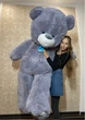 М'яка іграшка BigMishki плюшевий ведмедик Ветлі 200 см сірий - зображення 2