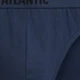Набор трусов слипов мужских хлопковых Atlantic 7SMP-002 GRF/CZA/NIE/DEN/IND/ZIEC/GRA S 7 шт Серый/Синий/Зеленый/Черный (5907086023440) - изображение 5