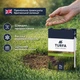 Газонная трава для восстановления газона TURFA «Repair» 2 кг - изображение 2
