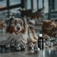 Капли глазные СУПЕРИУМ Сильвер с коллоидным серебром для котов и собак, 30 мл (9101) - изображение 8