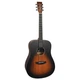 Акустична гітара TANGLEWOOD TC5 - зображення 1