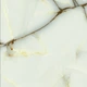 Керамограніт Megagres Fancy Onyx Pol 60x60см - зображення 1