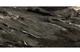 Керамограніт Megagres Nuvolato Mocha 60x120см - зображення 1