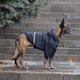 Дождевик Noble Pet Moss Blue M4106/XS (00000437) - изображение 12