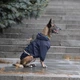 Дождевик Noble Pet Moss Blue M4106/XS (00000437) - изображение 13