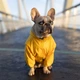 Дождевик Noble Pet Moss Yellow M4108/3XL-Long (00001342) - изображение 5