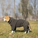 Комбинезон Noble Pet Travis T4123/XL Khaki (00002240) - изображение 3
