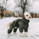 Комбинезон Noble Pet Travis T4123/XL Khaki (00002240) - изображение 9