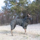 Комбинезон Noble Pet Travis T4123/XL Khaki (00002240) - изображение 11