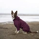 Комбинезон Noble Pet Travis T4124/M Grayish Red (00002301) - изображение 10