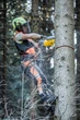 Пила цепная DeWalt DCMCST635N аккумуляторная бесщеточная с верхней рукояткой - изображение 9