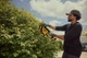 Кусторез аккумуляторный DeWalt DCMHT562N - изображение 9