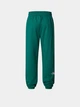 Брюки женские The North Face Essential M зелений NF0A8A6KNL11 - изображение 1