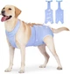 Дышащая попона для собак Derby Breathable Pet Recovery Suite, Blue, L - изображение 1