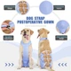 Дышащая попона для собак Derby Breathable Pet Recovery Suite, Blue, XL - изображение 2