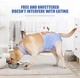 Дышащая попона для собак Derby Breathable Pet Recovery Suite, Blue, XL - изображение 5