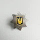 Значок Dobroznak эмблема национальной полиции 30х30 мм (6191) - изображение 3