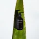 Мягкий очищающий гель для лица Grown Alchemist Gentle Gel Facial Cleanser 200 мл (9340800010986) - изображение 9