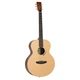 Акустичка гітара TANGLEWOOD TM3 - зображення 1