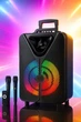 Безпровідна караоке колонка SPS ZQS15123 40 Вт Bluetooth два мікрофони - зображення 1