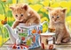Пазл Castorland puzzle Время чаепития, 500 эл. (B-52356) - изображение 2
