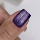 NAILSOFTHEDAY Cat Eye 04 Гель-лак котяче око, 6 мл - изображение 2