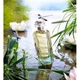 Туалетна вода Hermes Un Jardin Mediterranee 100 мл (3346131210015) - зображення 3