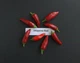 Перец Халапеньо семена 0,25 гр. (прибл 40 шт) халапеньйо красный (Jalapeno red) острый чили до 8,000 SHU - изображение 9