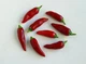 Перец Халапеньо семена 0,25 гр. (прибл 40 шт) халапеньйо красный (Jalapeno red) острый чили до 8,000 SHU - изображение 10