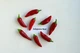 Перец Халапеньо семена 0,25 гр. (прибл 40 шт) халапеньйо красный (Jalapeno red) острый чили до 8,000 SHU - изображение 11