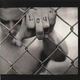 Бокс-сет 4CD+2BRD Green Day : American Idiot - изображение 8
