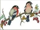 Набір для вишивання за нанесеною на канву схемою "Bullfinches". AIDA 14CT printed, 54*20 см - зображення 2