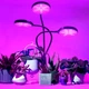 Світлодіодна фітолампа RGB 3 головки 45 Вт з USB та таймером для рослин висота 56 см колір основи чорний - зображення 6