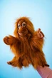 М'яка іграшка на руку Hansa серія Puppet Малюк орангутанг 25х22 см - зображення 6